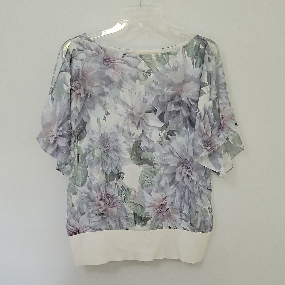 Ted Baker London Sheer Floral Blouse, Size 3